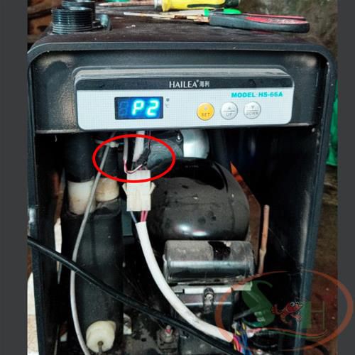  Đầu Dò Cảm Biến Nhiệt Gắn Ngoài Chiller Hailea