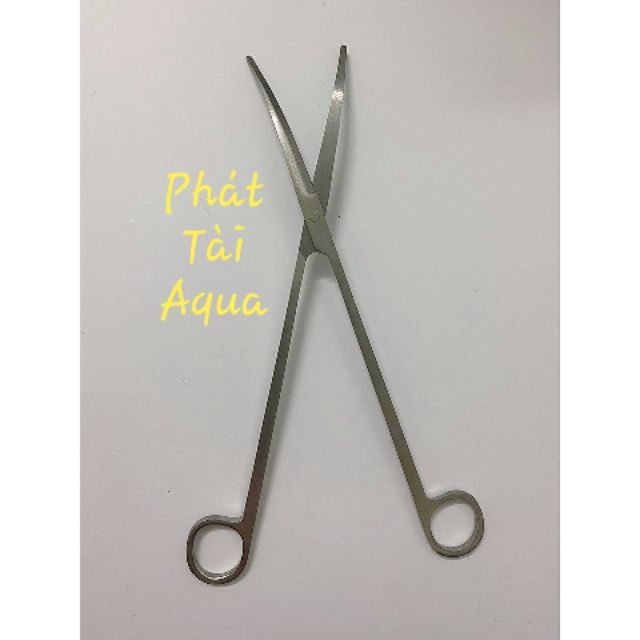 Kéo cong inox 25cm