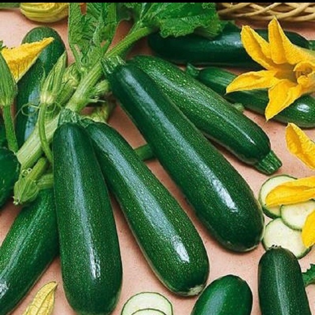 Hạt giống bí ngồi xanh