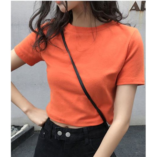 Áo Croptop Trơn, Áo Thun Quảng Châu | BigBuy360 - bigbuy360.vn