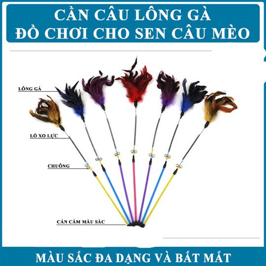  Đồ chơi cần câu mèo gắn lông vũ