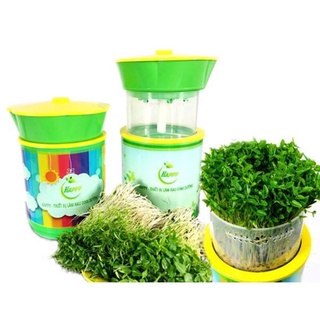 Thiết bị làm rau mầm Happy