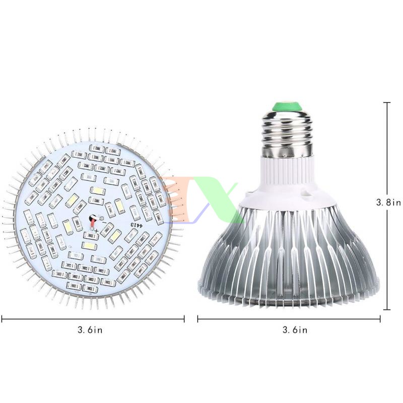 Đèn led trồng cây