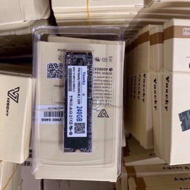 SSD VASEKY M2 240G | BigBuy360 - bigbuy360.vn