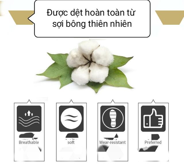 Tất Vớ nam nhập cao cấp hộp 5 cái vớ 100% cotton bao xịn [Freeship 50k]