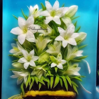 Bộ kim làm thạch 3D Hoa Loa Kèn- Hoa Ly Ly 4 kim set39