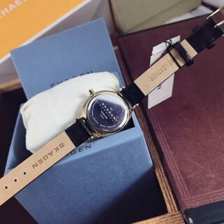 Đồng hồ nữ skagen