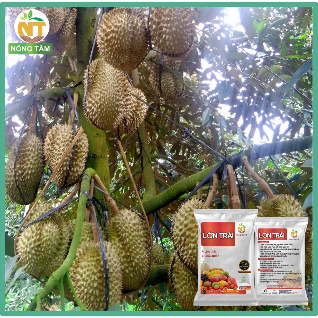 Phân bón siêu lớn trái, dưỡng trái chuyên dùng cho cây ăn trái, gói 1kg