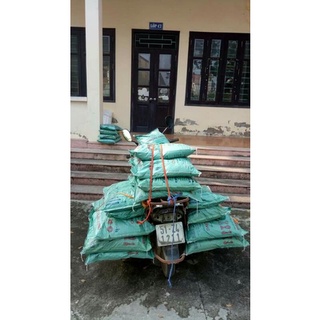 đất trồng cây thủy cam.  bao 10kg