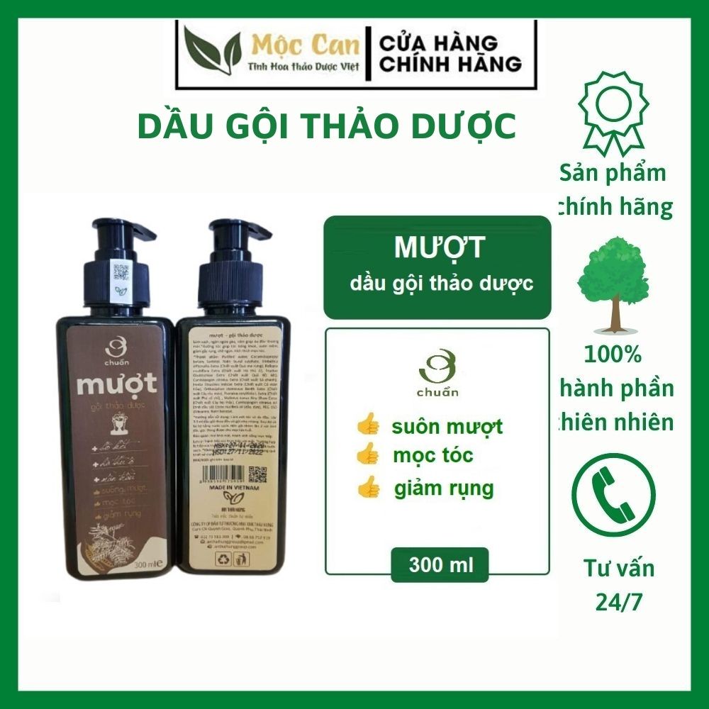 [ MƯỢT ] Dầu gội thảo dược AN THÁI HƯNG - Hết Rụng - Sạch Gàu - Nấm - Ngứa Da Đầu