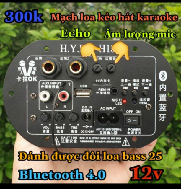 Mạch Loa Kéo 12V --220v - Có bluetooth Full chức Năng