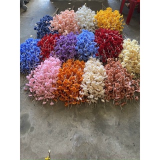 a đào râu đẹp combo 10 cành