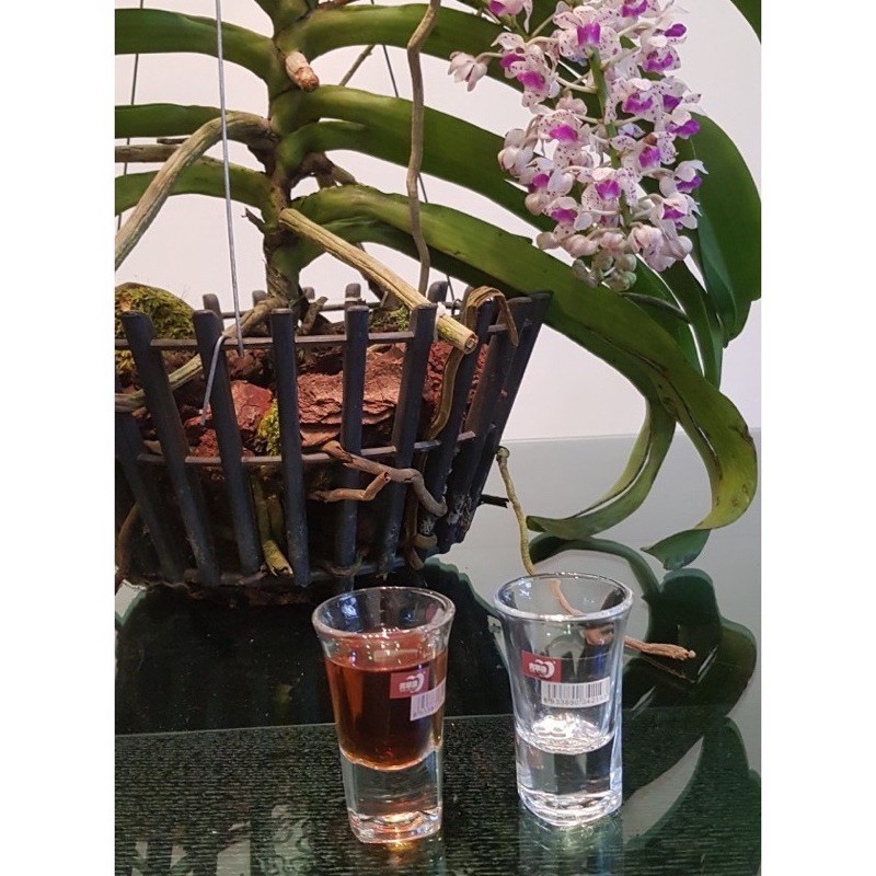 BỘ 6 LY RƯỢU THUỶ TINH DELI Y3002 HÀNG CAO CẤP SIÊU DÀY ĐẾ CAO 35ml