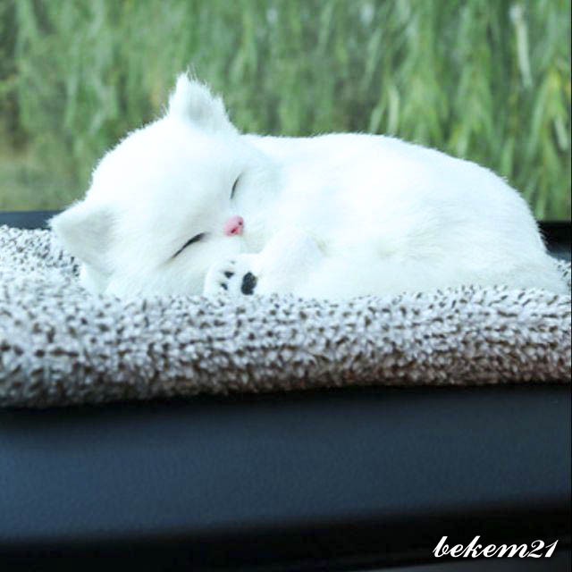 [MÈO TRẮNG]-Bán thú bông than hoạt tính - mèo trắng Siêu rẻ,có thể kêu meomeo-MÈO TRẮNG DỄ THƯƠNG LOẠI LỚN 28CM X 21CM
