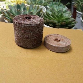 10 viên nén sơ dừa ươm hạt