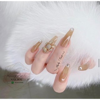 Bộ Nailbox charm gấu 0301