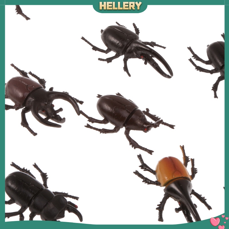 Set 10 Mô Hình Côn Trùng Bằng Nhựa Cho Bé