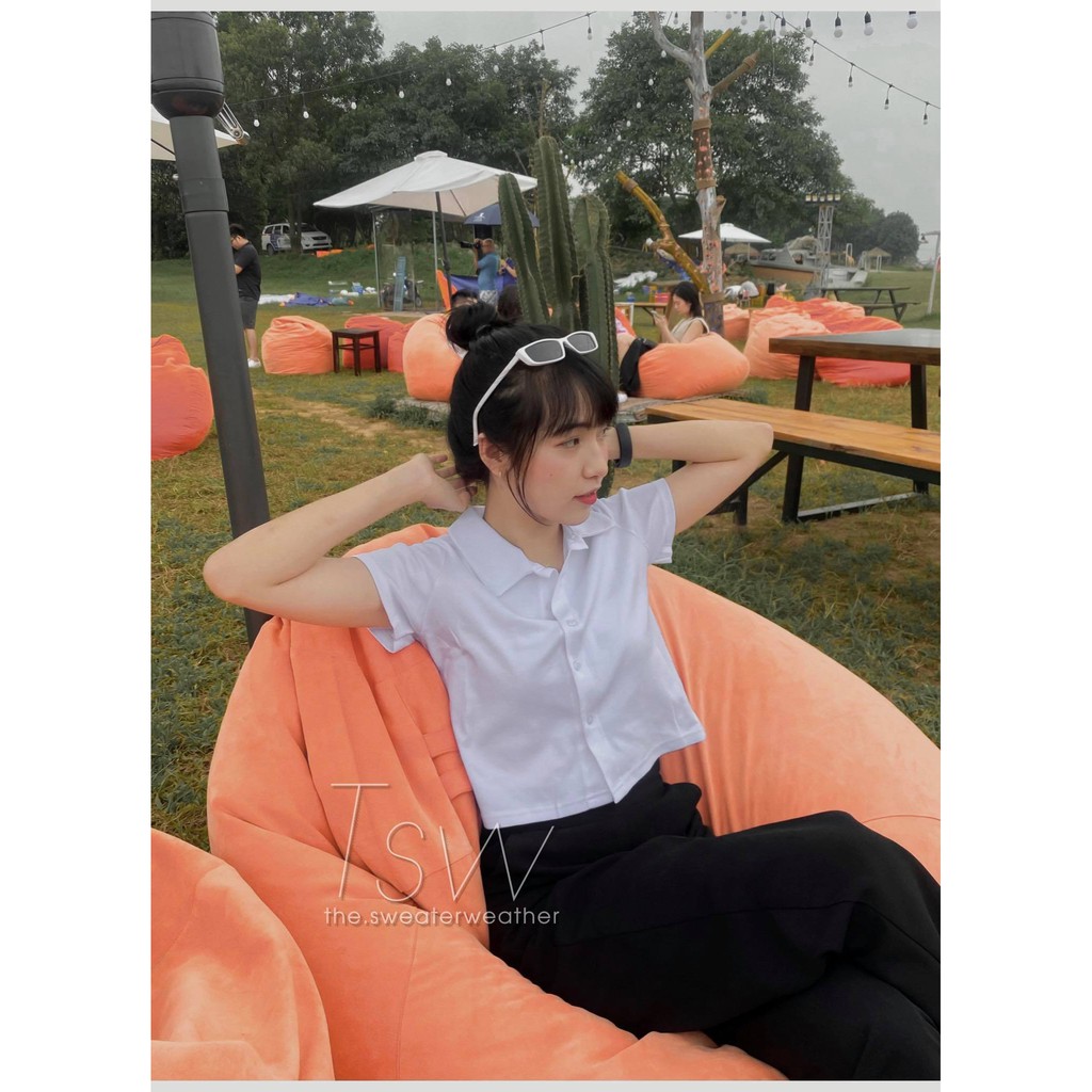 Áo thun polo croptop cài cúc (Ảnh thật) | BigBuy360 - bigbuy360.vn