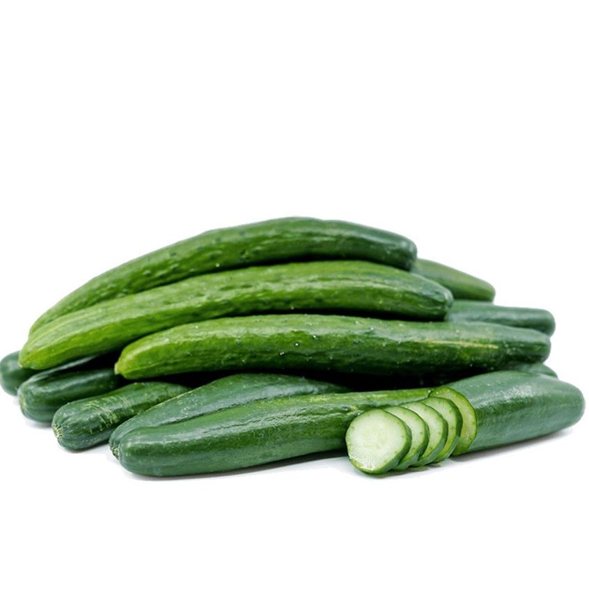 Hạt Giống Dưa Chuột Nhật Siêu Dài Giòn Ân Ngon 5 Hạt