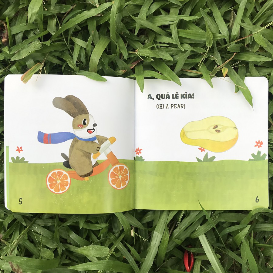 Sách Ehon Song ngữ Anh - Việt - Nhận Biết - Cái Gì Thế Nhỉ?  cho bé 0-6 tuổi