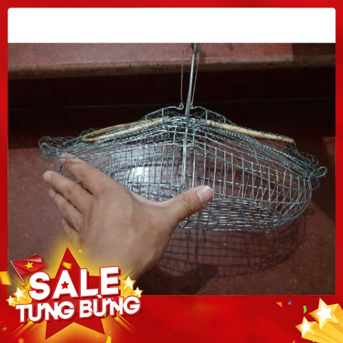 Lồng Chim Bẫy Khuyên, Chào mào D36 x R16 X C15