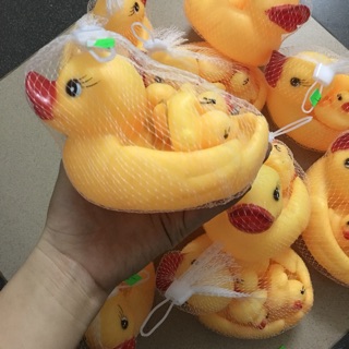 Đàn vịt chíp chíp