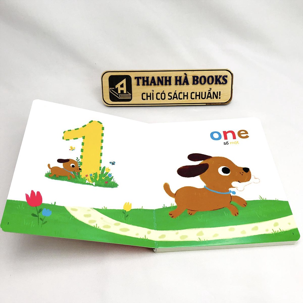 Sách - Thư Viện Hình Ảnh Song Ngữ Đầu Tiên Cho Bé - My First Learning Book (Bộ 8 cuốn)
