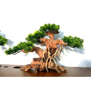Lũa Bonsai trang trí hồ cá.( Ngan 25 , Cao 20cm )