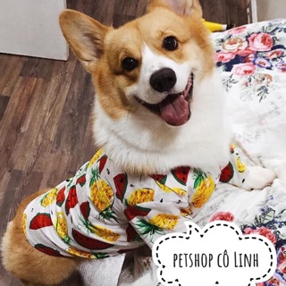 Pijama trái cây chất tơ đũi mát mẻ cho chó mèo