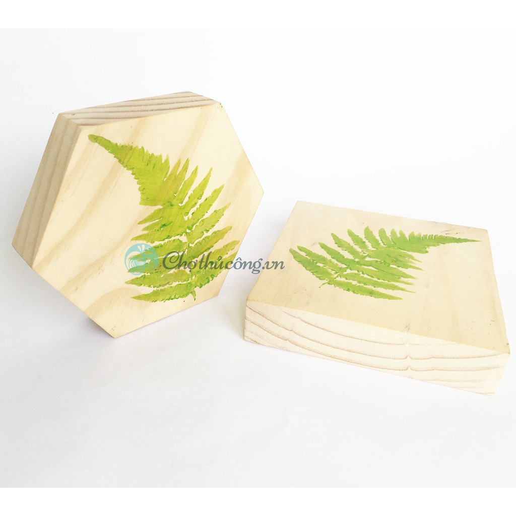 Miếng gỗ thông hình vuông, hình lục giác dày 2cm KT 10 x 10cm làm thủ công, vẽ tranh, lót ly, trang trí