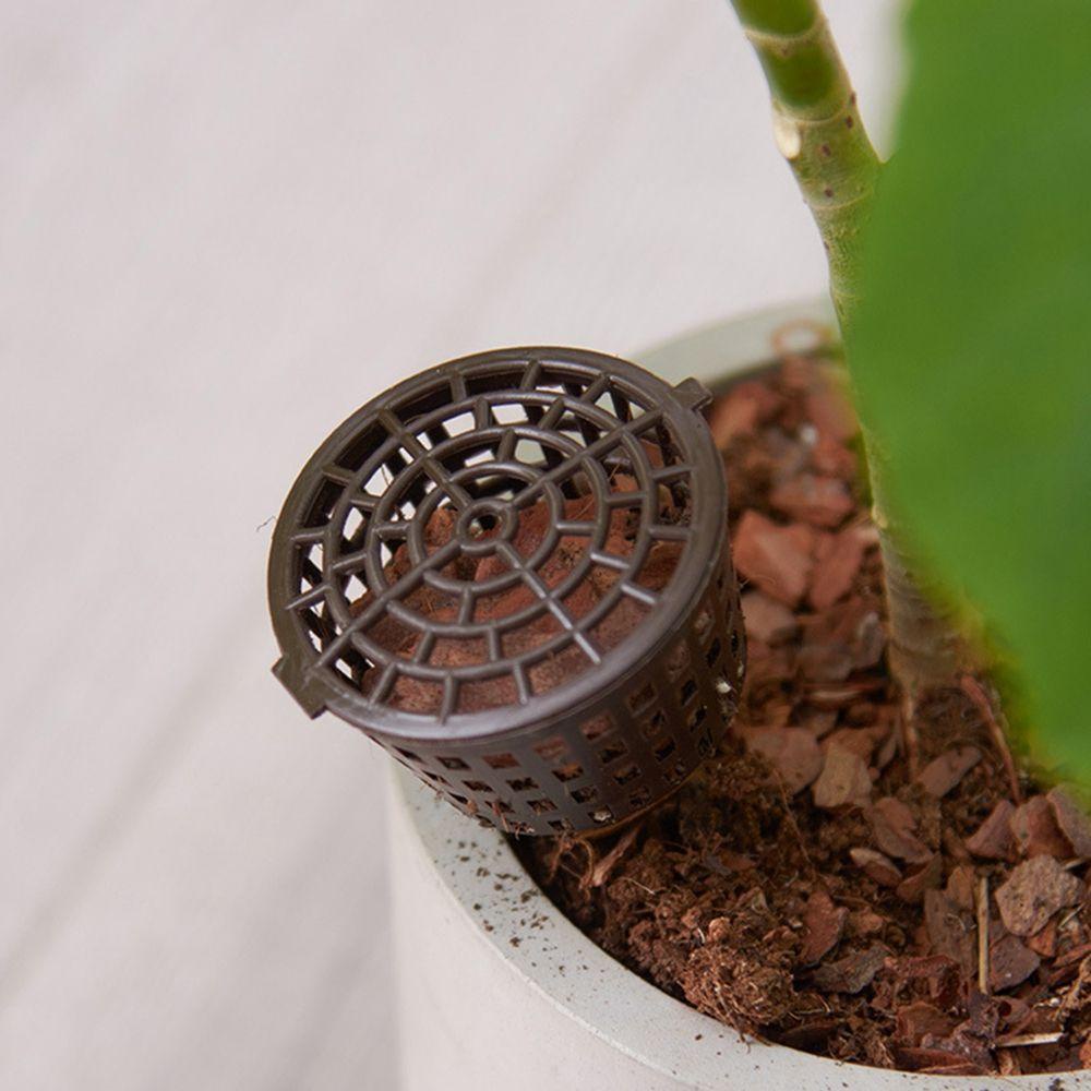 Hộp Nhựa Trồng Cây / Côn Trùng