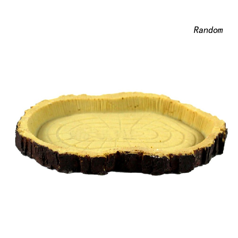 Khay Đựng Thức Ăn Cho Thú Cưng Bò Sát