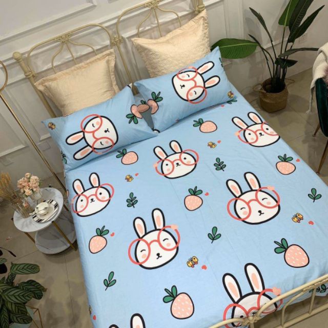 Bộ Ga Gối Cotton Poly Mẫu THỎ KÍNH XANH