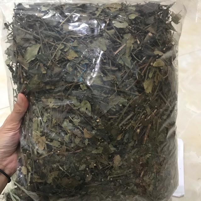 TA7879  - Chè vằng sẻ