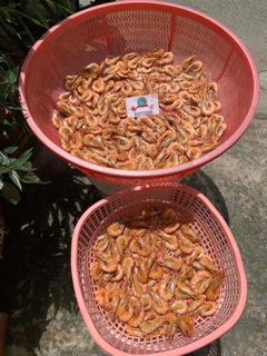 Tôm đất tươi phơi khô