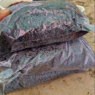 1kg đất trồng xương rồng giá rẻ, chất lượng ủ nấm tritroderma