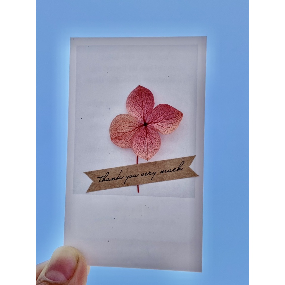 50 Thiệp, card cảm ơn HOA KHÔ, HOA THẬT