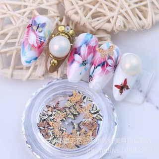 sét bướm ẩn 3d