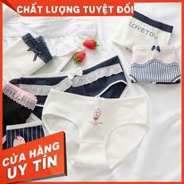 Quần Chip Cotton Dễ Thương Cute - Cotton Co Dãn Thoải Mái - Dễ Dàng Giặt - Không Phai Màu - Không Xù