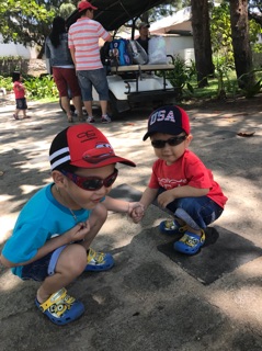 (Hình thật) Nón kết, nón lưỡi trai Gymboree, H&M us
