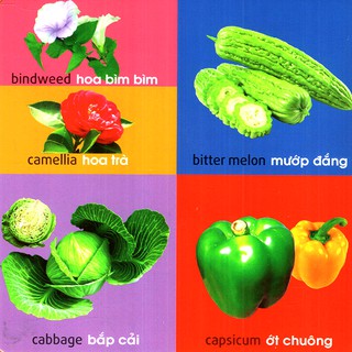 Sách: 101 Từ Đầu Tiên - Thực Vật / 101 First Words - Plants
