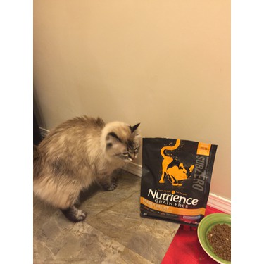 Hạt Nutrience SubZero Cho Mèo Mọi Độ Tuổi - Gà Tây, Cá Hồi &amp; Rau Củ Quả SUPERPETS VIỆT NAM