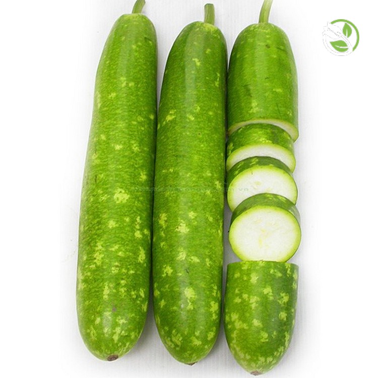 Hạt giống Bầu sao F1 PN-779 Phú Nông- Gói 1g - F1 Hybrid Bottle Gourd