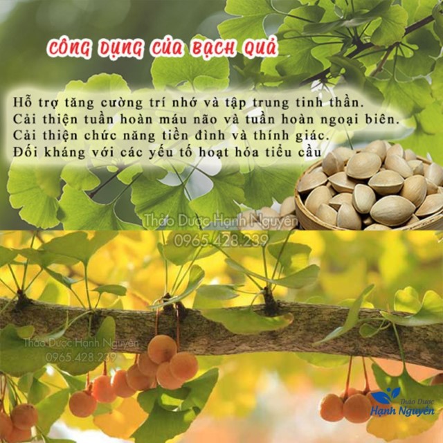 Bạch Quả Khô 100g