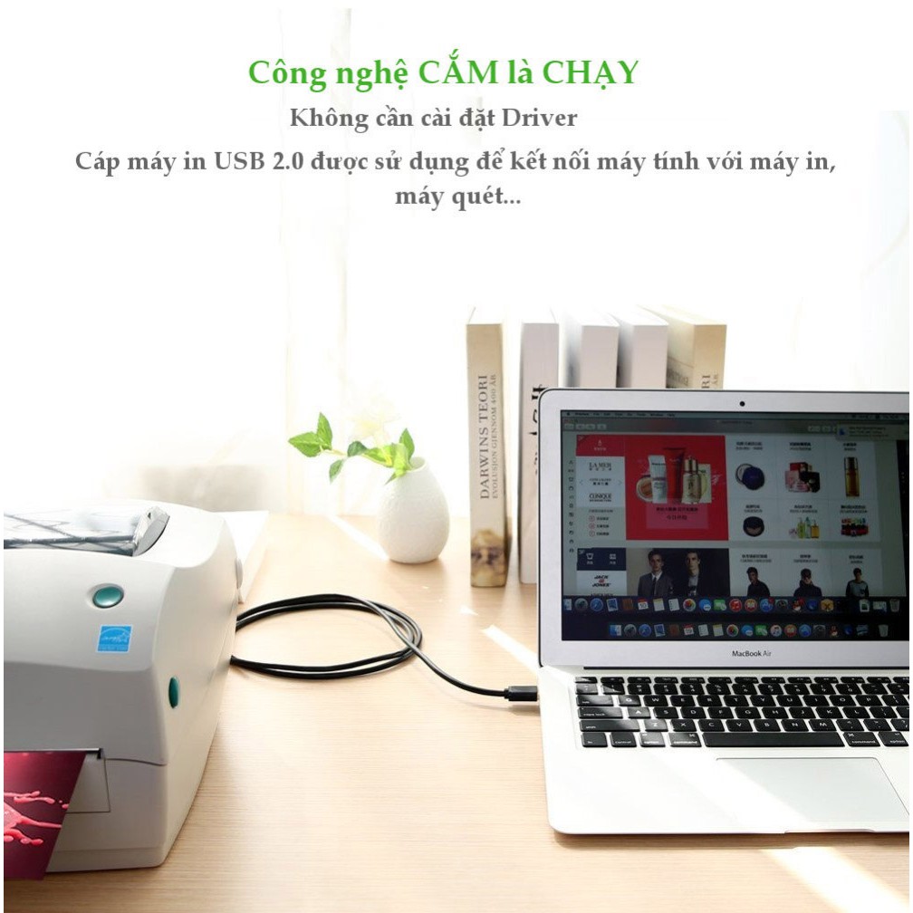 Cáp máy in USB 2.0 Ugreen 10351 dài 3M Chính Hãng UGREEN - chống nhiễu cao cấp
