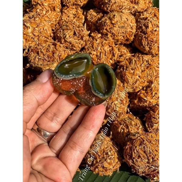 50 trứng cút bắc thảo