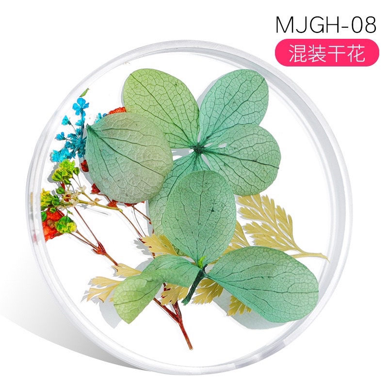 [HANGKIU] HOA KHÔ ẨN GEL SIÊU ĐÁNG YÊU