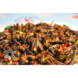 Dế Sấy Cay Giòn Hoa Mặt Trời Farm - Thực phẩm, Đồ Khô Chuẩn Nhậu