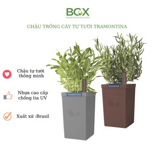 Chậu cây để bàn tự tưới cao cấp Tramontina - Ban công xanh
