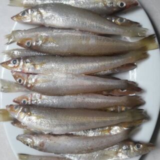 Khô cá bống biển Phú Quốc